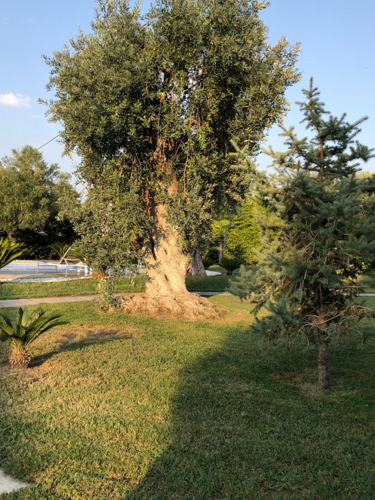 Villa Arhondula Prínosz Kültér fotó