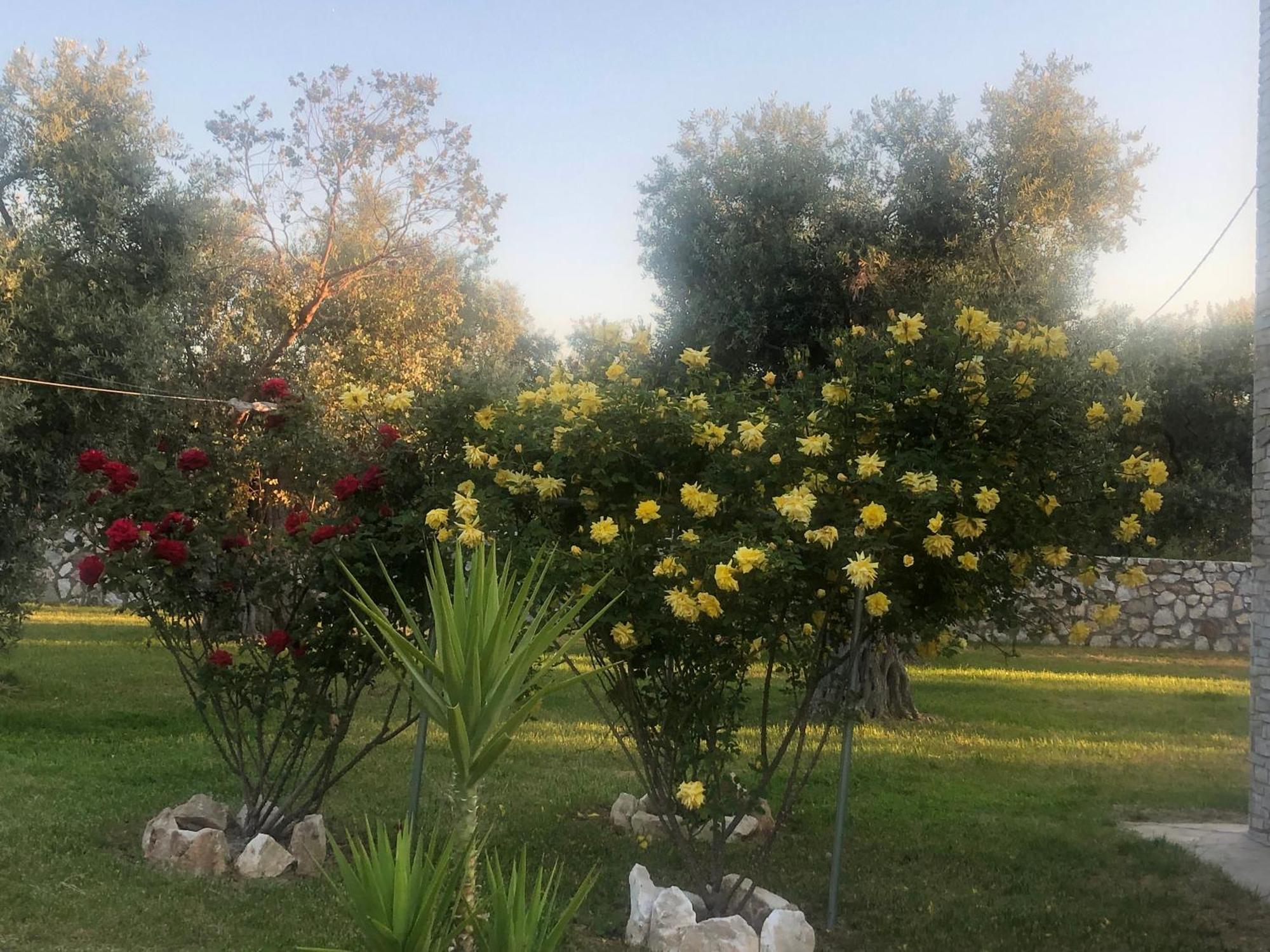 Villa Arhondula Prínosz Kültér fotó