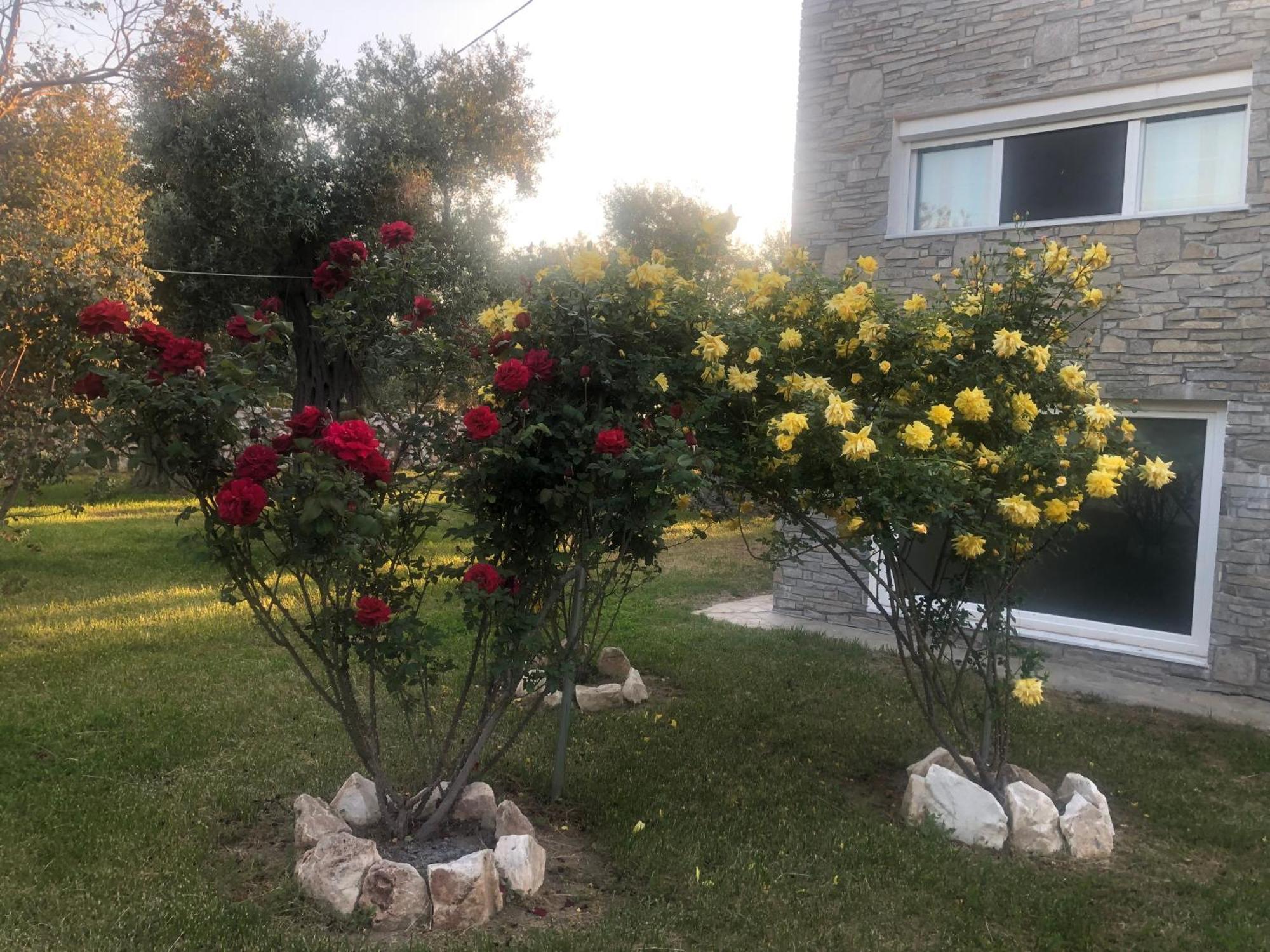 Villa Arhondula Prínosz Kültér fotó